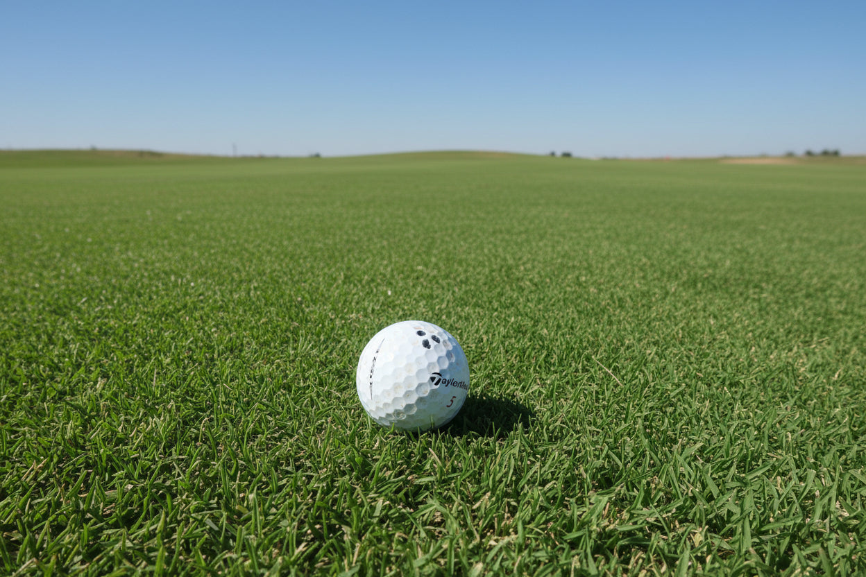 TaylorMade TP5 and TP5x high-performance golf balls, ideal for long distance and soft feel, pack of 16
 high-performance golf balls, ideal for long distance and soft feel, pack of 16
