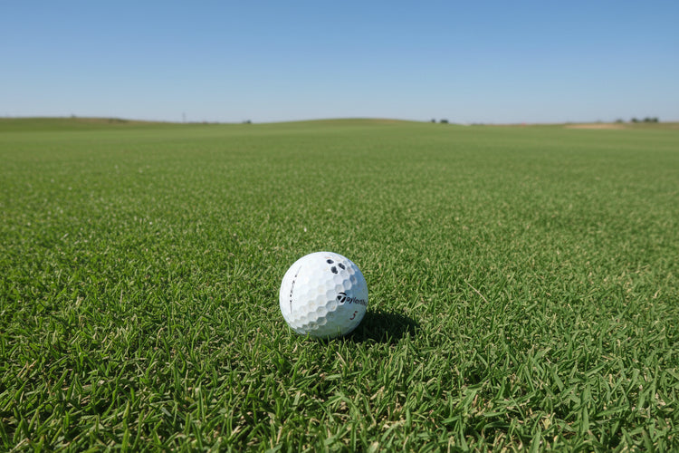 TaylorMade TP5 and TP5x high-performance golf balls, ideal for long distance and soft feel, pack of 16
 high-performance golf balls, ideal for long distance and soft feel, pack of 16
